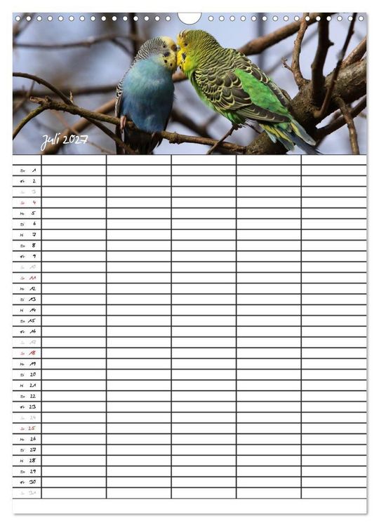 Produktbild: Wellensittiche (Wandkalender 2027 DIN A3 hoch), CALVENDO Monatskalender
