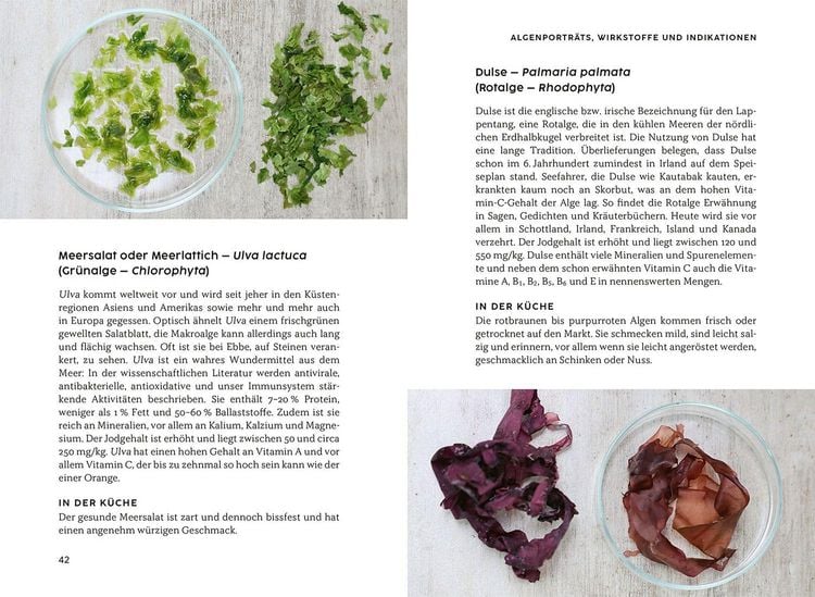 Produktbild: Gesund mit Algen