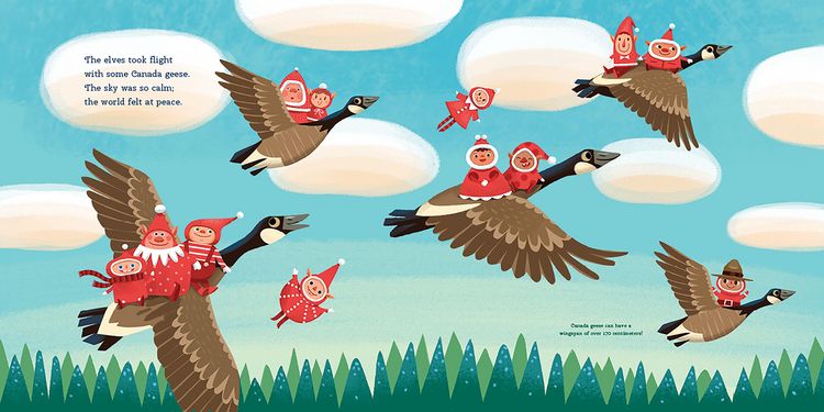 Produktbild: 12 Little Elves Visit Canada