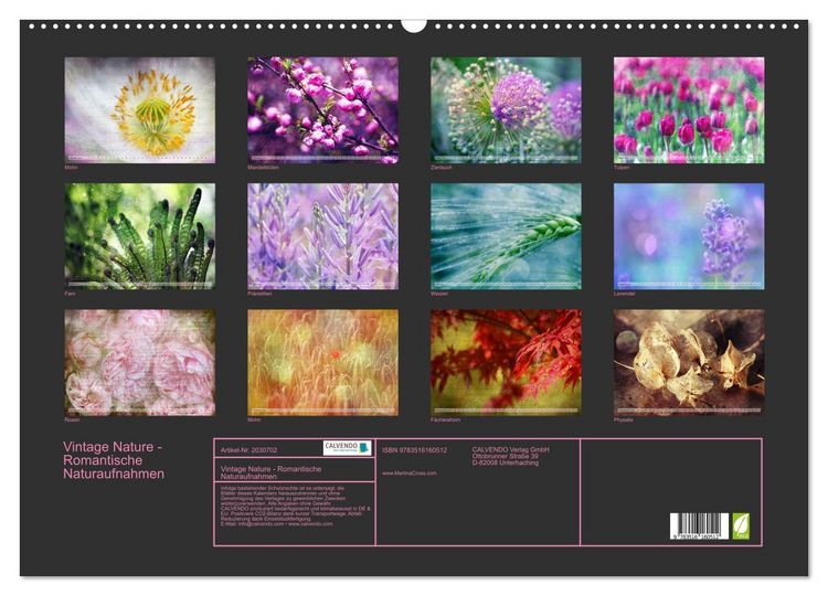 Produktbild: Vintage Nature - Romantische Naturaufnahmen (Wandkalender 2026 DIN A2 quer), CALVENDO Monatskalender