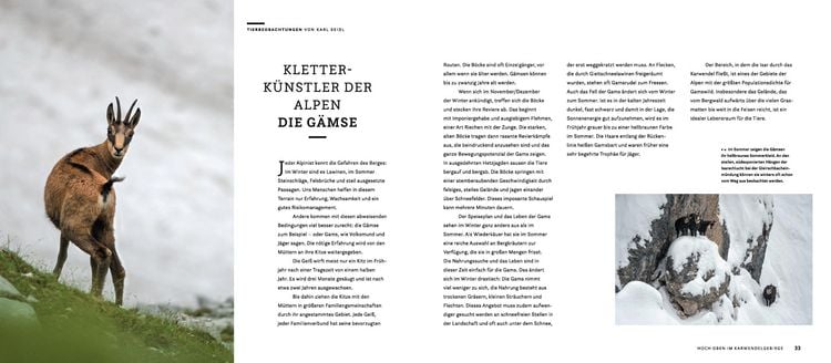 Produktbild: Wilde Isar