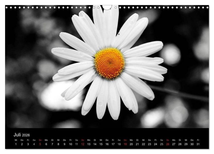 Produktbild: Farbtupfer (Wandkalender 2026 DIN A3 quer), CALVENDO Monatskalender