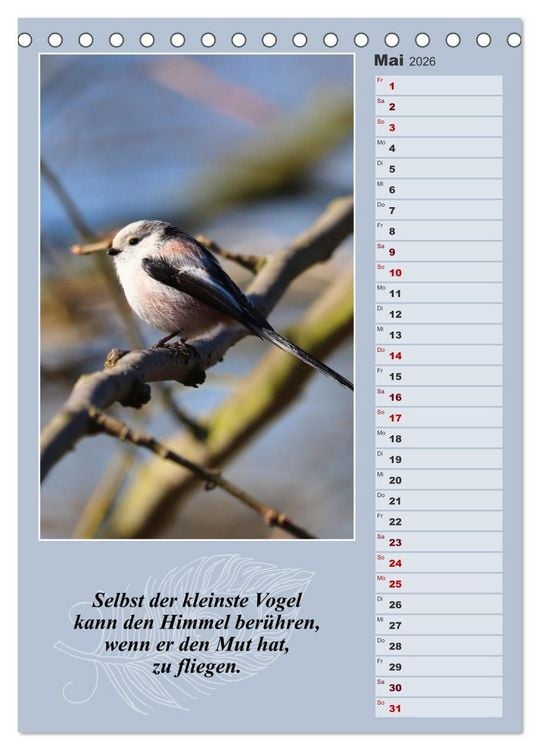 Produktbild: Schwanzmeisen, die niedlichen kleinen Pfannenstielchen (Tischkalender 2026 DIN A5 hoch), CALVENDO Monatskalender