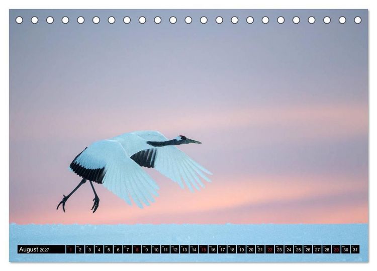 Produktbild: Japanische Vogelwelt im Winter (Tischkalender 2027 DIN A5 quer), CALVENDO Monatskalender