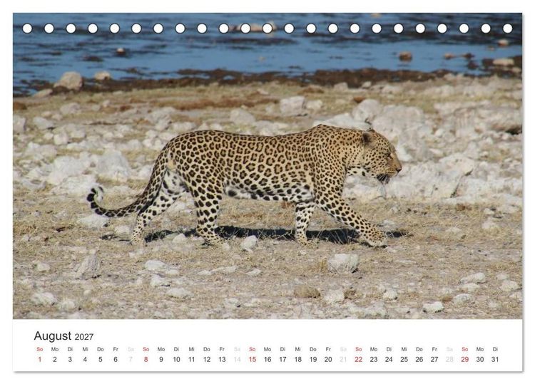 Produktbild: Namibia - Tierische Vielfalt (Tischkalender 2027 DIN A5 quer), CALVENDO Monatskalender