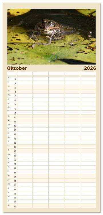 Produktbild: Familienplaner 2026 - Frosch Karl, Hans und Max im Einklang der Natur mit 5 Spalten (Wandkalender, 21 x 45 cm) CALVENDO