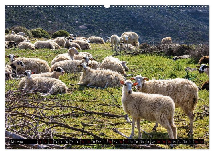 Produktbild: Ostkreta - Zwischen Sitia und Ierapetra (hochwertiger Premium Wandkalender 2026 DIN A2 quer), Kunstdruck in Hochglanz