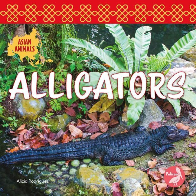 Produktbild: Alligators