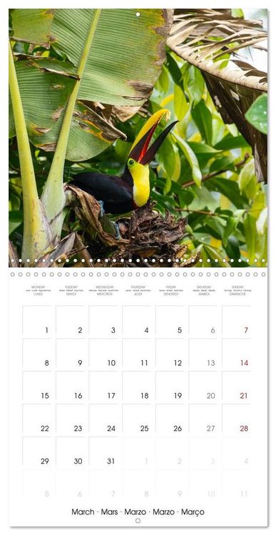 Produktbild: Costa Rica wild and peaceful (Wall Calendar 2027 12 &times; 12 Inch) CALVENDO 12 Month Wall Calendar