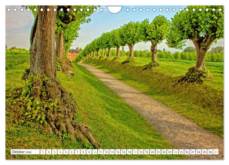 Produktbild: Mein buntes Mecklenburg (Wandkalender 2026 DIN A4 quer), CALVENDO Monatskalender
