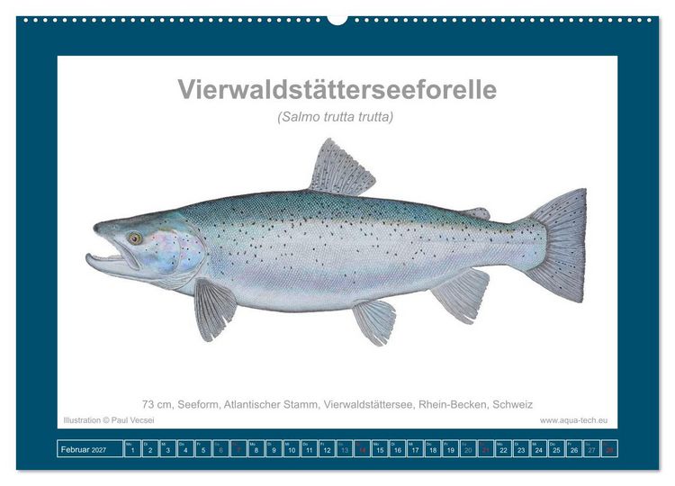 Produktbild: Fisch als Kunst 2027: Seeforellen (Wandkalender 2027 DIN A2 quer), CALVENDO Monatskalender