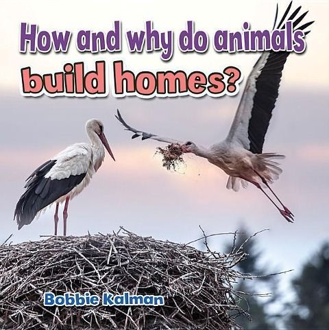 Produktbild: How and Why Do Animals Build Homes?