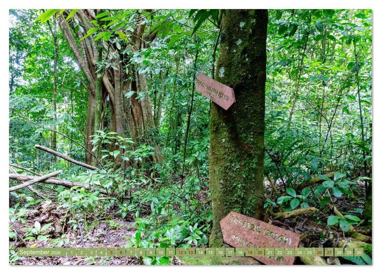 Produktbild: Sao Tome. Paradiesinsel vor der K&uuml;ste Westafrikas (Tischkalender 2026 DIN A5 quer), CALVENDO Monatskalender