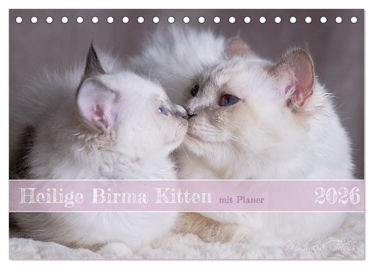 Produktbild: Heilige Birma Kitten mit Planer (Tischkalender 2026 DIN A5 quer), CALVENDO Monatskalender