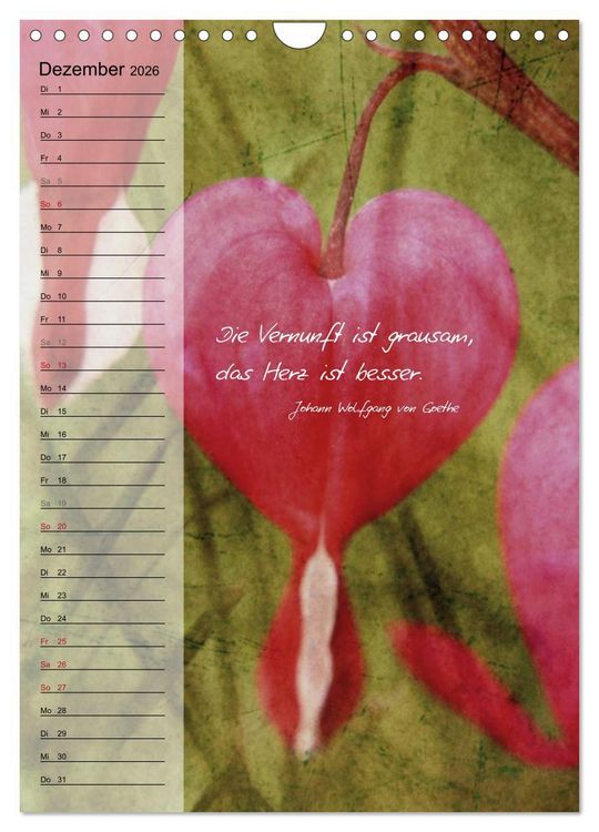 Produktbild: Blumen & Zitate / Geburtstagskalender (Wandkalender 2026 DIN A4 hoch), CALVENDO Monatskalender