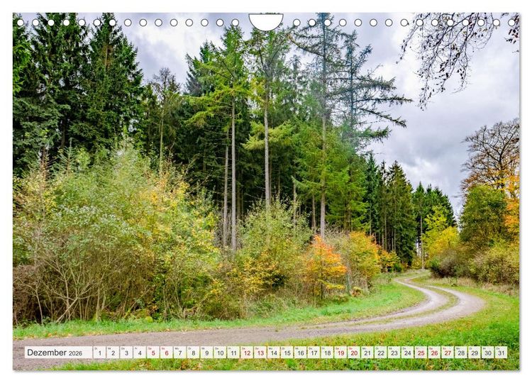 Produktbild: Nationalpark Eifel - Sch&ouml;ne Tage im Gr&uuml;nen (Wandkalender 2026 DIN A4 quer), CALVENDO Monatskalender