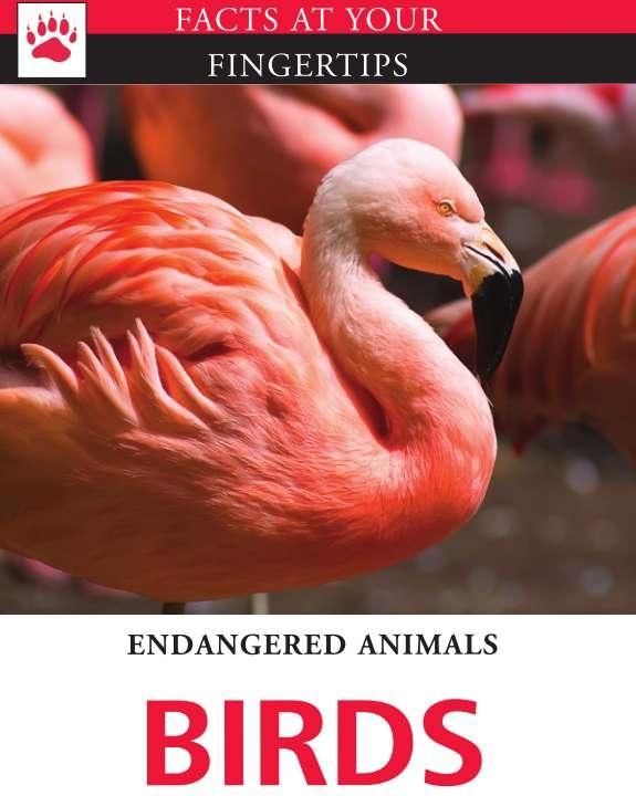 Produktbild: Birds