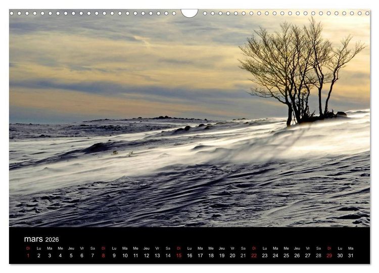 Produktbild: AUBRAC (Calendrier mural 2026 DIN A3 vertical), CALVENDO calendrier mensuel