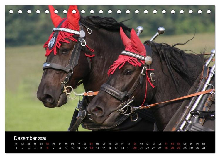 Produktbild: Starke Pferde bei der Arbeit (Tischkalender 2026 DIN A5 quer), CALVENDO Monatskalender