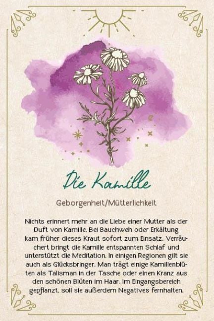 Produktbild: Orakel-Karten-Box: Naturmomente f&uuml;r deine Seele: Nutze die Kraft der gr&uuml;nen Magie