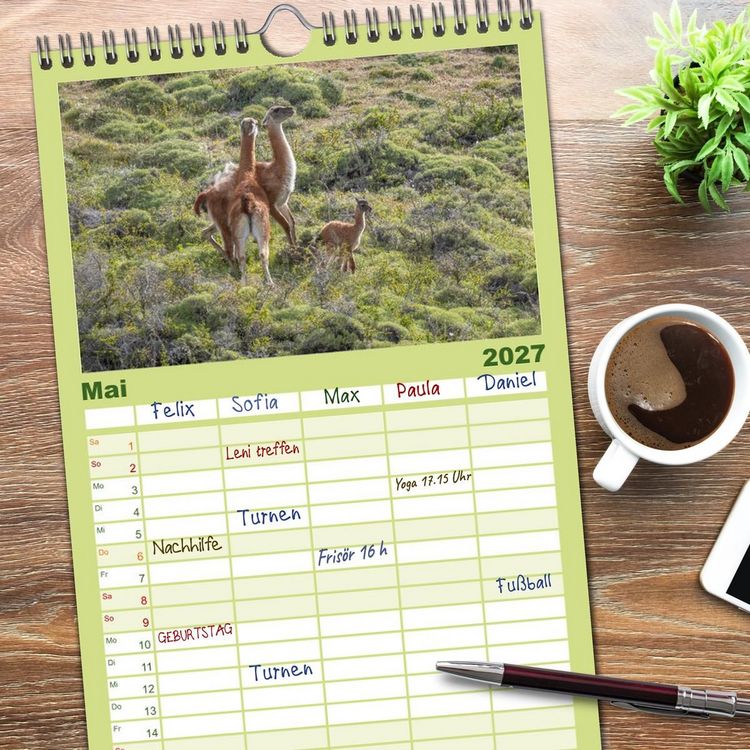 Produktbild: Familienplaner 2027 - Wildlife S&uuml;damerika mit 5 Spalten (Wandkalender, 21 x 45 cm) CALVENDO