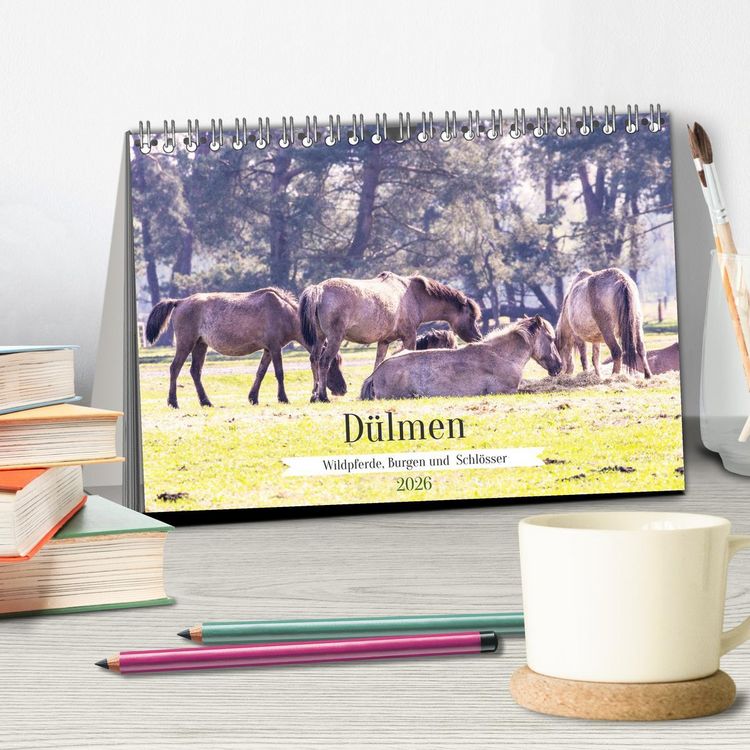Produktbild: D&uuml;lmen - Wildpferde, Burgen und Schl&ouml;sser (Tischkalender 2026 DIN A5 quer), CALVENDO Monatskalender