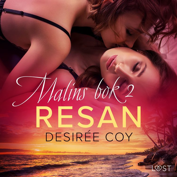 Produktbild: Resan - Malins bok 2