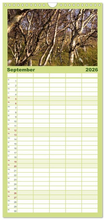 Produktbild: Familienplaner 2026 - Wald mit 5 Spalten (Wandkalender, 21 x 45 cm) CALVENDO