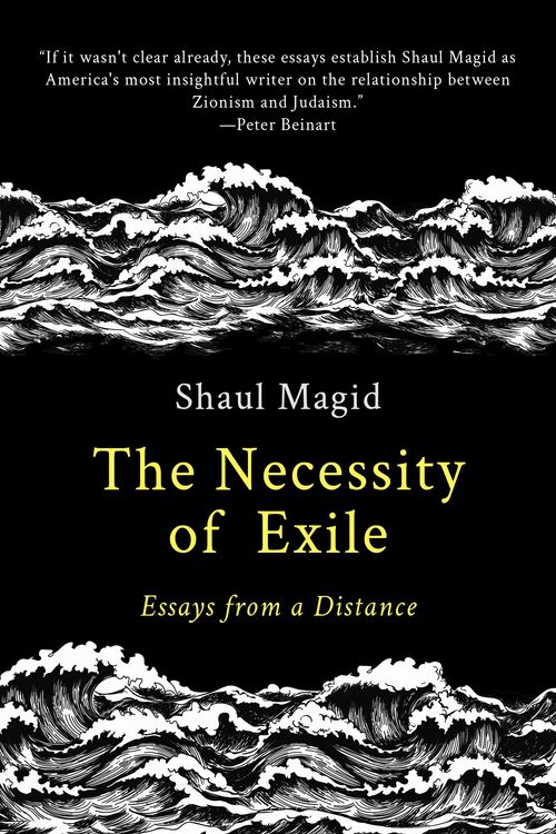 Produktbild: The Necessity of Exile