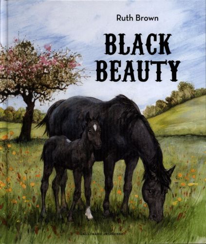 Produktbild: Black Beauty