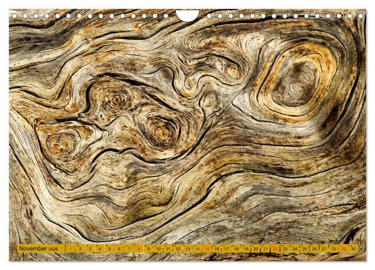 Produktbild: Faszination HOLZ - Strukturen (Wandkalender 2026 DIN A4 quer), CALVENDO Monatskalender