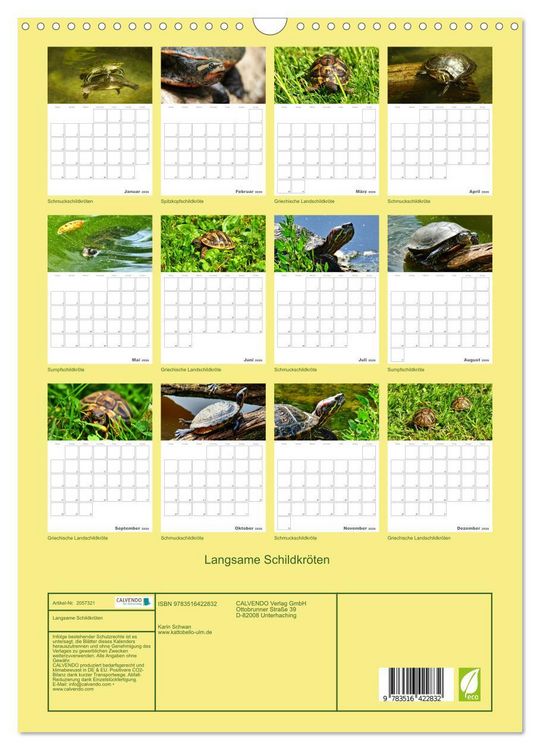 Produktbild: Langsame Schildkr&ouml;ten (Wandkalender 2026 DIN A3 hoch), CALVENDO Monatskalender