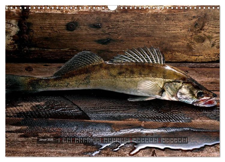 Produktbild: UNSER FISCH. S&Uuml;&szlig;WASSER. (Wandkalender 2026 DIN A3 quer), CALVENDO Monatskalender