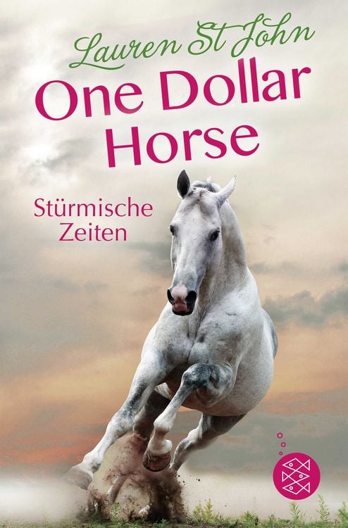 Produktbild: One Dollar Horse &ndash; St&uuml;rmische Zeiten