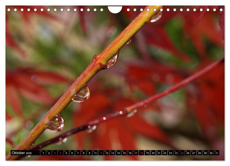 Produktbild: Wassertropfen - Diamanten des Lebens (Wandkalender 2026 DIN A4 quer), CALVENDO Monatskalender
