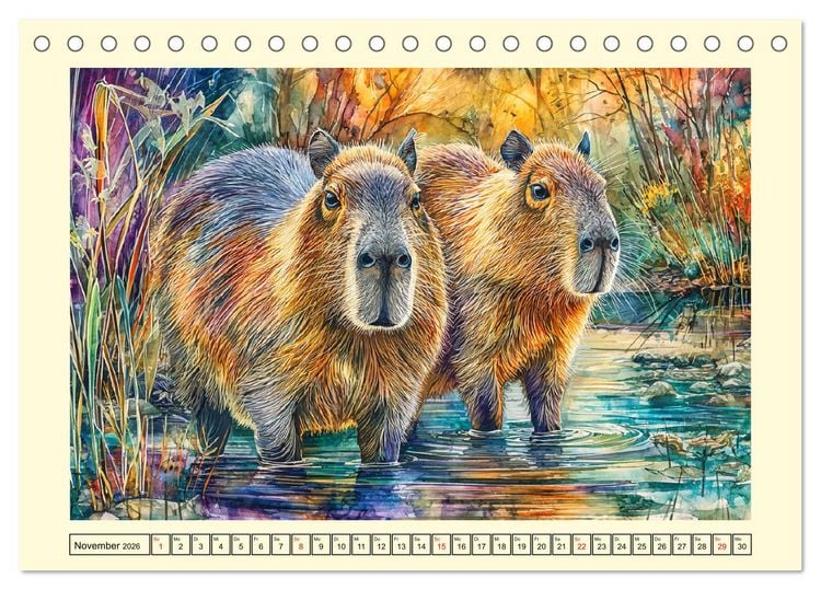Produktbild: Wasserschweine. Bezaubernde Capybaras in der Natur (Tischkalender 2026 DIN A5 quer), CALVENDO Monatskalender