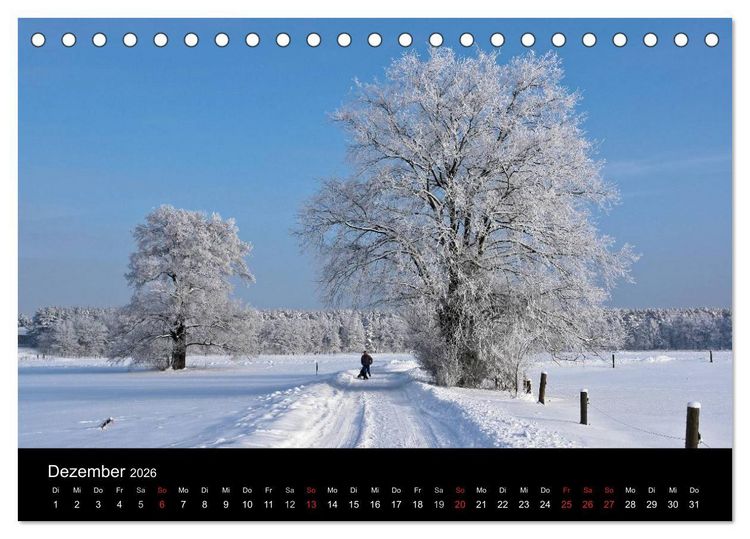 Produktbild: Baum-Variationen (Tischkalender 2026 DIN A5 quer), CALVENDO Monatskalender