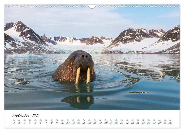 Produktbild: 78&deg; Nord - Arktische Momente in Svalbard (Wandkalender 2026 DIN A3 quer), CALVENDO Monatskalender