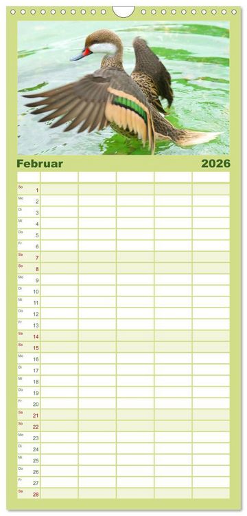 Produktbild: Familienplaner 2026 - Duck Power mit 5 Spalten (Wandkalender, 21 x 45 cm) CALVENDO