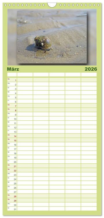 Produktbild: Familienplaner 2026 - Baltrum - Ein Tag am Strand mit 5 Spalten (Wandkalender, 21 x 45 cm) CALVENDO