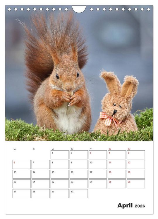 Produktbild: Eichh&ouml;rnchen Luna (Wandkalender 2026 DIN A4 hoch), CALVENDO Monatskalender