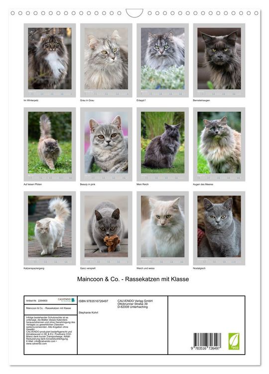 Produktbild: Maincoon & Co. - Rassekatzen mit Klasse (Wandkalender 2026 DIN A3 hoch), CALVENDO Monatskalender