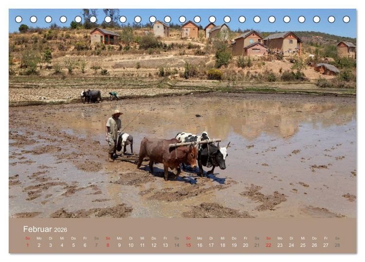 Produktbild: Alltag in Madagaskar (Tischkalender 2026 DIN A5 quer), CALVENDO Monatskalender