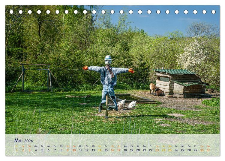 Produktbild: R&uuml;genliebe (Tischkalender 2026 DIN A5 quer), CALVENDO Monatskalender
