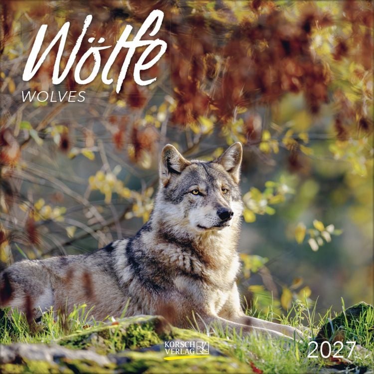 Produktbild: W&ouml;lfe 2027