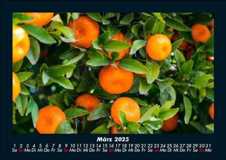 Produktbild: Obstkalender 2025 Fotokalender DIN A5