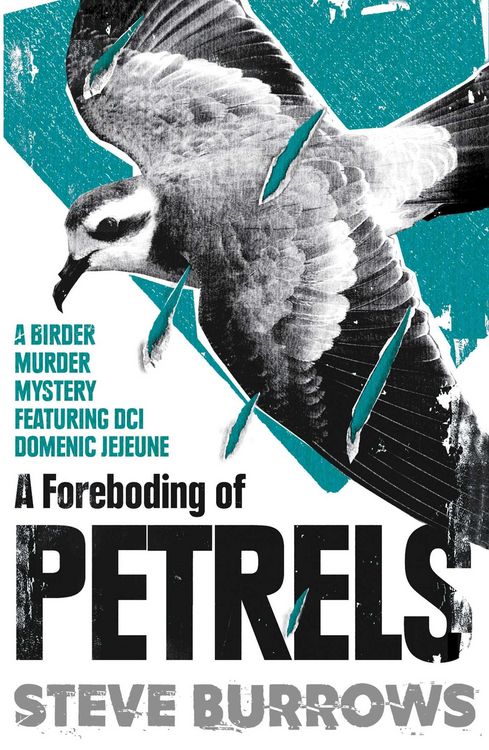 Produktbild: A Foreboding of Petrels