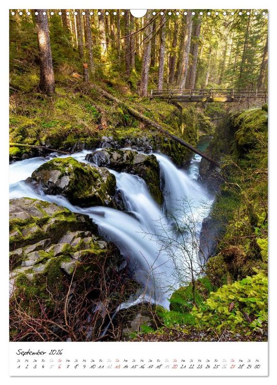 Produktbild: Weltnaturerbe Olympic National Park (Wandkalender 2026 DIN A3 hoch), CALVENDO Monatskalender