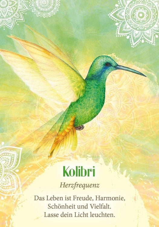 Produktbild: Das Orakel der V&ouml;gel