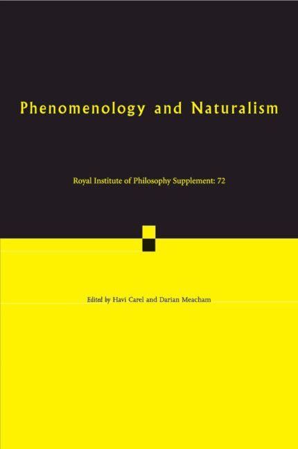 Produktbild: Phenomenology and Naturalism